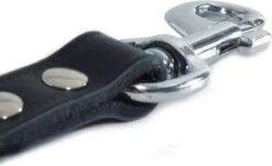 Beeztees Korthouder - Hondenriem - Leer - Bruin - 40x18 Cm -Huisdierbenodigdheden Korting 1200x732