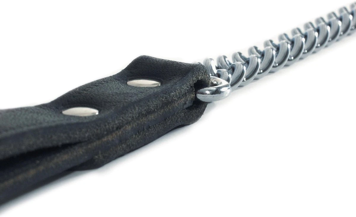 Beeztees - Hondenriem - Kettinglijn - Zwart - 2x112 Cm 6 Beeztees - Hondenriem - Kettinglijn - Zwart - 2x112 Cm - Image 4