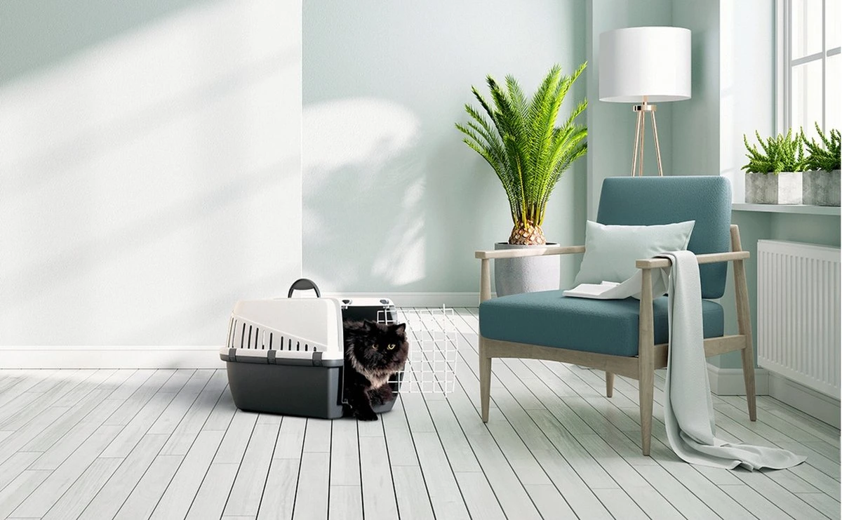 Savic - Benche - Trotter - Antraciet - 46 X 33 X 31 Cm 4 Savic - Benche - Trotter - Antraciet - 46 X 33 X 31 Cm - Image 2