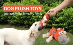 Merkloos Hondenknuffel - Interactief Piepspeelgoed Voor Honden - Teddy - Stoer Hondenkauwspeelgoed - Met Katoenen Materiaal En Gekreukt Papier - Hondenspeelgoed Voor Grote En Kleine Honden -Huisdierbenodigdheden Korting 1200x742 4