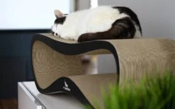 MyKotty LUI - Krabpaal - Zwart - 75cm X 25cm -Huisdierbenodigdheden Korting 1200x746 10