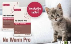 No Worm Pro Kat & Kitten - Anti Wormenmiddel - 2 X 2 Tab Vanaf 0.5 Kg Vanaf 6 Weken -Huisdierbenodigdheden Korting 1200x750 2