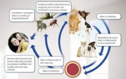 Beaphar Milquestra Kleine Kat/kitten - 0,5 Tot 4 Kg - 2 Tabletten 16 Beaphar Milquestra Kleine Kat/kitten - 0,5 Tot 4 Kg - 2 Tabletten -Huisdierbenodigdheden Korting 1200x751 6