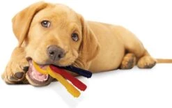 Nylabone Kauwbot - Puppy Kauwspeelgoed - Sleutels Met Baconsmaak - X-Small -Huisdierbenodigdheden Korting 1200x752 1