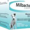 Milbactor Voor Kleine Honden En Pups - 4 Tabletten 1 Milbactor Voor Kleine Honden En Pups - 4 Tabletten -Huisdierbenodigdheden Korting 1200x760