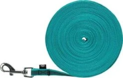 Trixie Hondenriem Sleeplijn Met Rubber Turquoise -Huisdierbenodigdheden Korting 1200x762 1