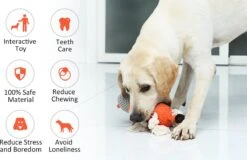 Merkloos Hondenknuffel - Interactief Piepspeelgoed Voor Honden - Teddy - Stoer Hondenkauwspeelgoed - Met Katoenen Materiaal En Gekreukt Papier - Hondenspeelgoed Voor Grote En Kleine Honden -Huisdierbenodigdheden Korting 1200x777 2