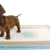 EasyPets Padhouder Honden Toilet -Huisdierbenodigdheden Korting 1200x780