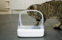 Surefeed Microchip Pet Feeder - Voerbak - 30 X 23 X 22 Cm -Huisdierbenodigdheden Korting 1200x780 6
