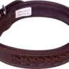 Luxe Halsband Voor Honden - Gevlochten - Echt Leer / Leder - Maat XXS - 39x2 Cm - Bruin -Huisdierbenodigdheden Korting 1200x782 5