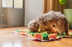 SNUFFIES® Snuffelmat Belle 60x50cm – Snuffelmat – Snuffelmatten - Honden Speelgoed - Honden Speelgoed Intelligentie - Snuffelmat Hond - Snuffelmatten – Hersenwerk – Honden Speeltjes – Puppy - Puppy Speelgoed - Honden Denkspelletjes -Huisdierbenodigdheden Korting 1200x783 3