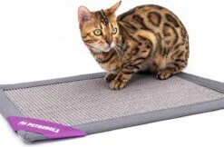 Petrebels Mastermat 60 Katten Krabmat - Grijs - 60 X 40 Cm - Zeer Sterk -Huisdierbenodigdheden Korting 1200x788 8