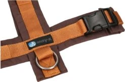 Anny.X Hondentuig Y Tuig Bruin Barnsteen Maat L Geschikt Voor Borstomvang 70-86cm -Huisdierbenodigdheden Korting 1200x789 4