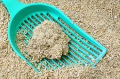 Nieuwkomers -Huisdierbenodigdheden Korting 1200x790 14