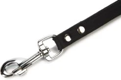 Beeztees Korthouder - Hondenriem - Leer - Bruin - 40x18 Cm -Huisdierbenodigdheden Korting 1200x796 1