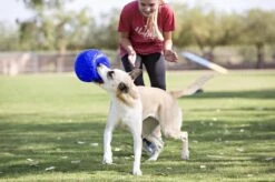 Jolly Pets Jolly Soccer Ball – Hondenspeelgoed – Hondenspeeltjes Voor Binnen En Buiten – Hondenbal Voor Honden – Hondenvoetbal – Jollyflex Stevig Kunststof – Drijvend Hondenspeeltje – Ø20cm – Licht Blauw -Huisdierbenodigdheden Korting 1200x797 5