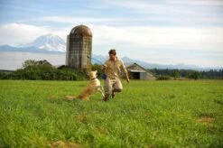 Benson Rode Honden Ballenwerper Met Ergonomische Handgreep – Inclusief Tennisbal – 38cm – Rood | Balwerper Voor Hond | Bal Werpen | Apporteer Speelgoed | Hondenspeelgoed 16 Benson Rode Honden Ballenwerper Met Ergonomische Handgreep – Inclusief Tennisbal – 38cm – Rood | Balwerper Voor Hond | Bal Werpen | Apporteer Speelgoed | Hondenspeelgoed -Huisdierbenodigdheden Korting 1200x798 6