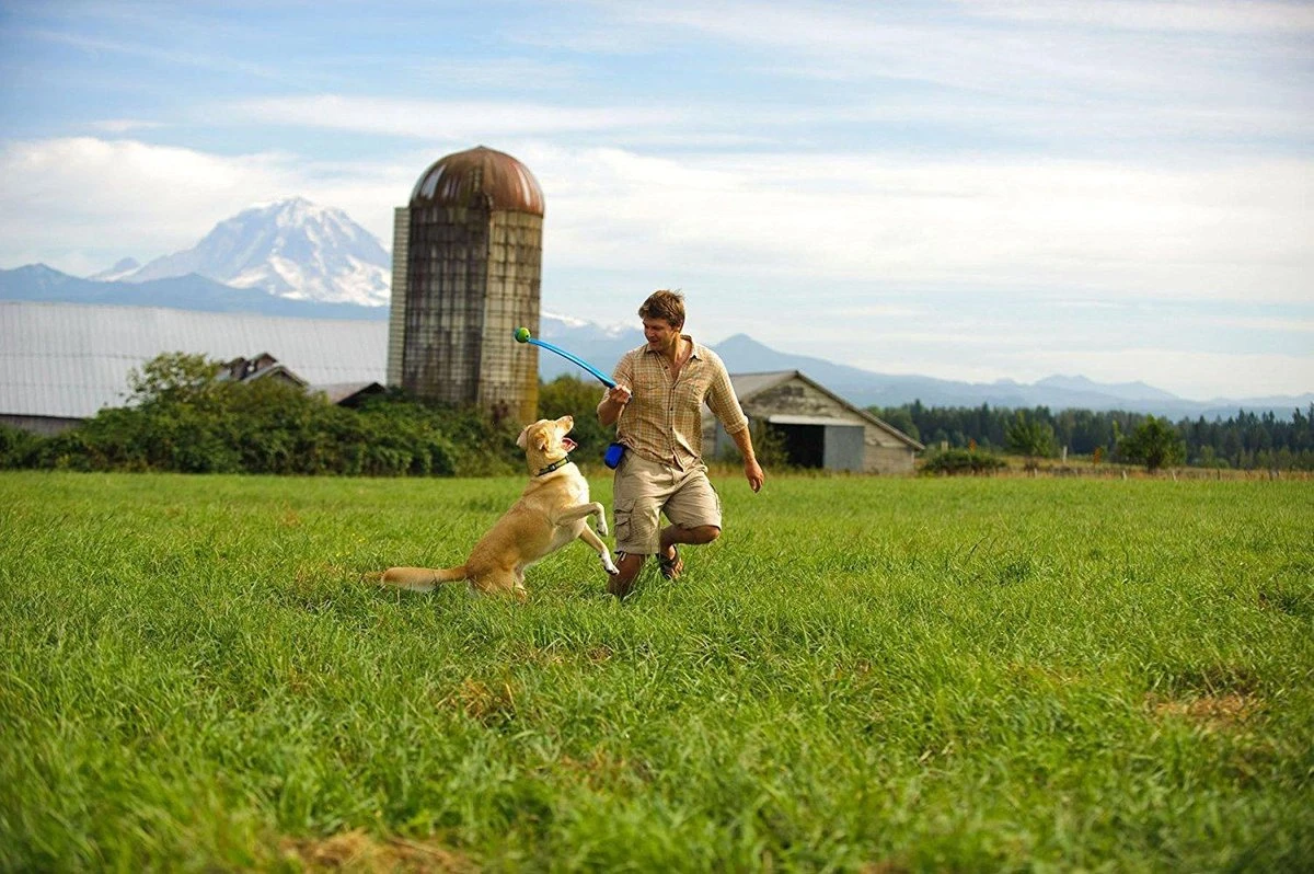 Benson Rode Honden Ballenwerper Met Ergonomische Handgreep – Inclusief Tennisbal – 38cm – Rood | Balwerper Voor Hond | Bal Werpen | Apporteer Speelgoed | Hondenspeelgoed 6 Benson Rode Honden Ballenwerper Met Ergonomische Handgreep – Inclusief Tennisbal – 38cm – Rood | Balwerper Voor Hond | Bal Werpen | Apporteer Speelgoed | Hondenspeelgoed - Image 4