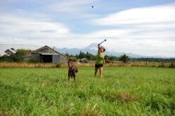 Benson Rode Honden Ballenwerper Met Ergonomische Handgreep – Inclusief Tennisbal – 38cm – Rood | Balwerper Voor Hond | Bal Werpen | Apporteer Speelgoed | Hondenspeelgoed 17 Benson Rode Honden Ballenwerper Met Ergonomische Handgreep – Inclusief Tennisbal – 38cm – Rood | Balwerper Voor Hond | Bal Werpen | Apporteer Speelgoed | Hondenspeelgoed -Huisdierbenodigdheden Korting 1200x798 7