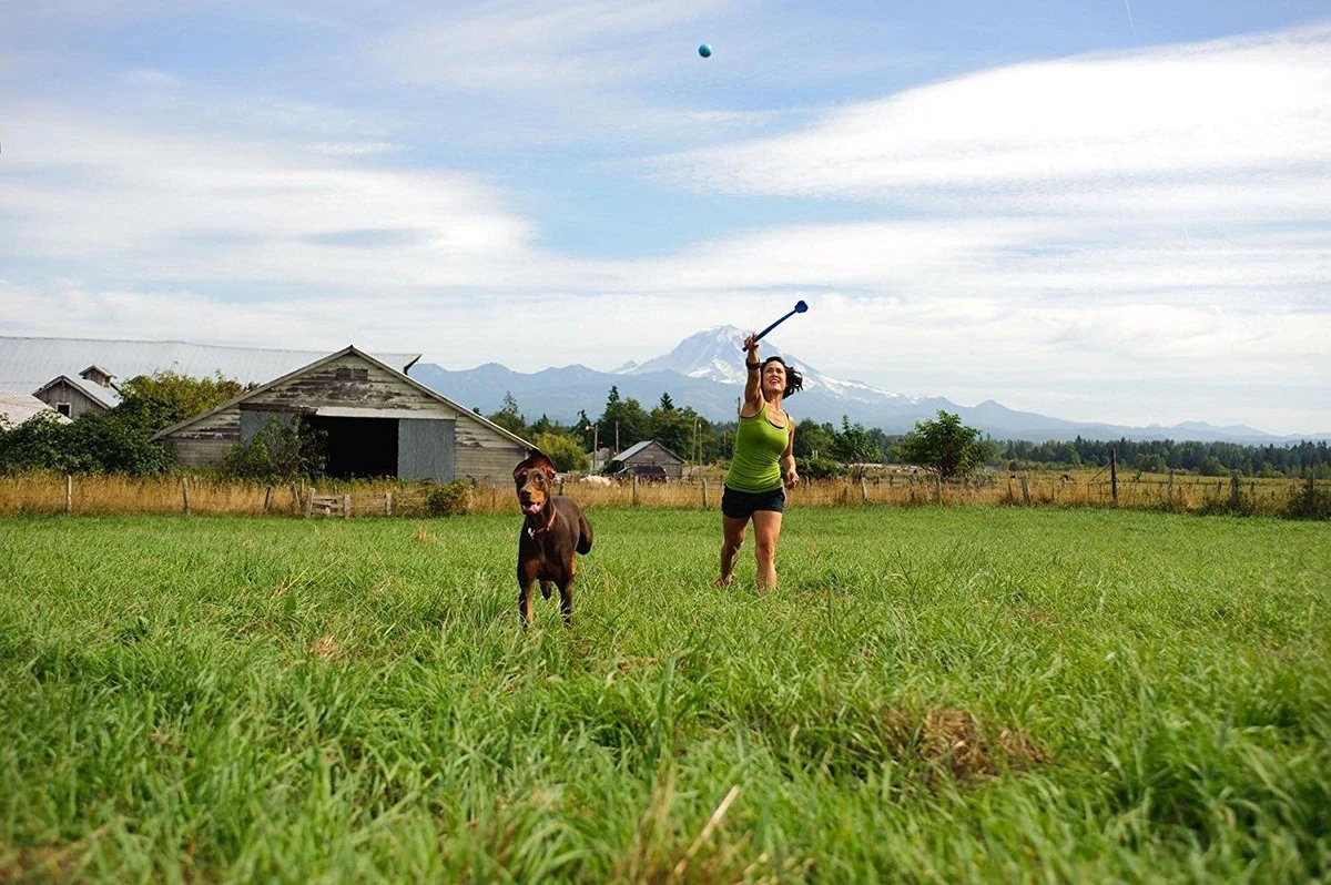 Benson Rode Honden Ballenwerper Met Ergonomische Handgreep – Inclusief Tennisbal – 38cm – Rood | Balwerper Voor Hond | Bal Werpen | Apporteer Speelgoed | Hondenspeelgoed 7 Benson Rode Honden Ballenwerper Met Ergonomische Handgreep – Inclusief Tennisbal – 38cm – Rood | Balwerper Voor Hond | Bal Werpen | Apporteer Speelgoed | Hondenspeelgoed - Image 5