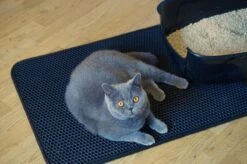 Merkloos Tastelio XXL Kattenbakmat 75x55cm - Groot Kattenbak Mat Met Innovatieve Honingraatstructuur - Dubbele Waterdichte Laag - Katten Bak Mat Met Eenvoudige Reiniging Grit Opvanger -Huisdierbenodigdheden Korting 1200x799 101