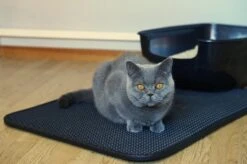 Merkloos Tastelio XXL Kattenbakmat 75x55cm - Groot Kattenbak Mat Met Innovatieve Honingraatstructuur - Dubbele Waterdichte Laag - Katten Bak Mat Met Eenvoudige Reiniging Grit Opvanger -Huisdierbenodigdheden Korting 1200x799 102