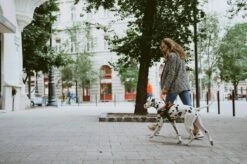 Julius K9 Julius-K9 IDC®Powertuig, M - Maat 0, Camouflage -Huisdierbenodigdheden Korting 1200x799 13