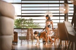 Julius K9 Julius-K9 IDC®Powertuig, XL - Maat 2, Zwart -Huisdierbenodigdheden Korting 1200x799 14