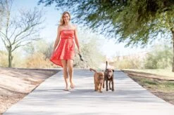 Wigzi Dual Doggie 2.0 Voor Twee Honden - Hondenriem - Grijs - 3m - <22 Kg (per Hond) -Huisdierbenodigdheden Korting 1200x799 2