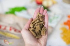 Kivo Petfood PROEFZAKJE Hondenbrokken Kip & Pens 300 Gram - Koudgeperst Glutenvrij -Huisdierbenodigdheden Korting 1200x799 20