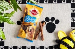 Pedigree Rodeo Duo Hondensnacks - Kip & Bacon - 10 X 7 Stuks -Huisdierbenodigdheden Korting 1200x799 22
