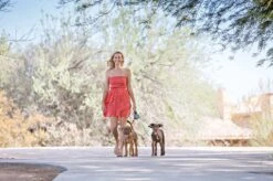 Wigzi Dual Doggie 2.0 Voor Twee Honden - Hondenriem - Grijs - 3m - <22 Kg (per Hond) -Huisdierbenodigdheden Korting 1200x799