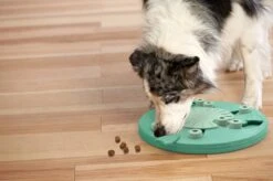 Nina Ottosson Dog Worker Composiet 34,5x34,5x5 Cm -Huisdierbenodigdheden Korting 1200x799 44