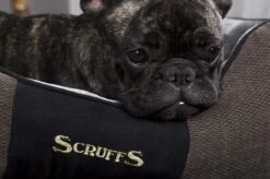 Hondenmand Zacht En Stevig, Anti-Slip En Wasbaar - Scruffs Chester Box Bed - In Grijs En Bruin In Maat S Tot XL - Kleur: Grijs, Maat: Extra Large 27 Hondenmand Zacht En Stevig, Anti-Slip En Wasbaar - Scruffs Chester Box Bed - In Grijs En Bruin In Maat S Tot XL - Kleur: Grijs, Maat: Extra Large -Huisdierbenodigdheden Korting 1200x799 50