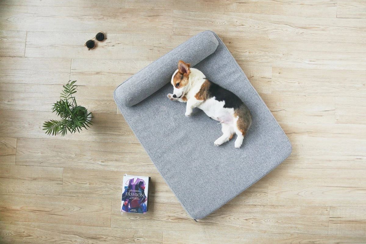 PETKIT® Deep Sleep Bed - Hondenmand - Kattenmand - Memory Foam - Orthopedisch - Maat M 5 PETKIT® Deep Sleep Bed - Hondenmand - Kattenmand - Memory Foam - Orthopedisch - Maat M - Image 3