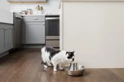 PetSafe® Seaside Stainless Steel Pet Fountain - RVS Drinkfontein Voor Katten En Kleine Honden - Water Borrelt Zacht Over De Toren - Door Het Design Van Alle Kanten Bereikbaar - 1,8 Liter - PetSafe Seaside -Huisdierbenodigdheden Korting 1200x799 92