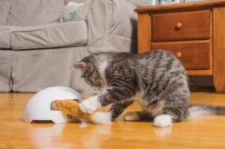 FroliCat Vossenhol - Automatische Kattenplager - Kattenspeelgoed -Huisdierbenodigdheden Korting 1200x799 98