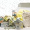Merkloos Beeztees Puppy Cadeaupakket - Puppy Pakket - Leuke Box Met Puppy Speelgoed En Snacks -Huisdierbenodigdheden Korting 1200x800 119