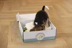 Merkloos Beeztees Puppy Cadeaupakket - Puppy Pakket - Leuke Box Met Puppy Speelgoed En Snacks 12 Merkloos Beeztees Puppy Cadeaupakket - Puppy Pakket - Leuke Box Met Puppy Speelgoed En Snacks -Huisdierbenodigdheden Korting 1200x800 122