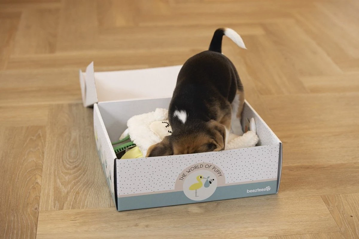 Merkloos Beeztees Puppy Cadeaupakket - Puppy Pakket - Leuke Box Met Puppy Speelgoed En Snacks 7 Merkloos Beeztees Puppy Cadeaupakket - Puppy Pakket - Leuke Box Met Puppy Speelgoed En Snacks - Image 5