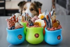 West Paw Toppl Zogoflex - Uitdagend En Sterk Speelgoed Voor Honden - Slowfeeder - Vulbaar Met Voer Of Snacks - Kleur: Groen, Maat: Large 25 West Paw Toppl Zogoflex - Uitdagend En Sterk Speelgoed Voor Honden - Slowfeeder - Vulbaar Met Voer Of Snacks - Kleur: Groen, Maat: Large -Huisdierbenodigdheden Korting 1200x800 147