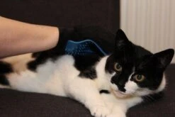 Merkloos Vachtverzorgingshandschoen -Huisdierbenodigdheden Korting 1200x800 15