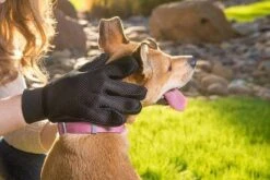 Merkloos Vachtverzorgingshandschoen -Huisdierbenodigdheden Korting 1200x800 16