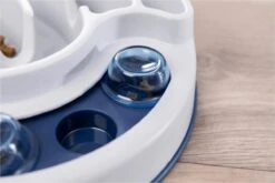 Trixie Slide & Feed Strategiespel - Hondenspeelgoed 12 Trixie Slide & Feed Strategiespel - Hondenspeelgoed -Huisdierbenodigdheden Korting 1200x800 175