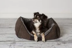 Hondenmand Zacht En Stevig, Anti-Slip En Wasbaar - Scruffs Chester Box Bed - In Grijs En Bruin In Maat S Tot XL - Kleur: Grijs, Maat: Extra Large 28 Hondenmand Zacht En Stevig, Anti-Slip En Wasbaar - Scruffs Chester Box Bed - In Grijs En Bruin In Maat S Tot XL - Kleur: Grijs, Maat: Extra Large -Huisdierbenodigdheden Korting 1200x800 184