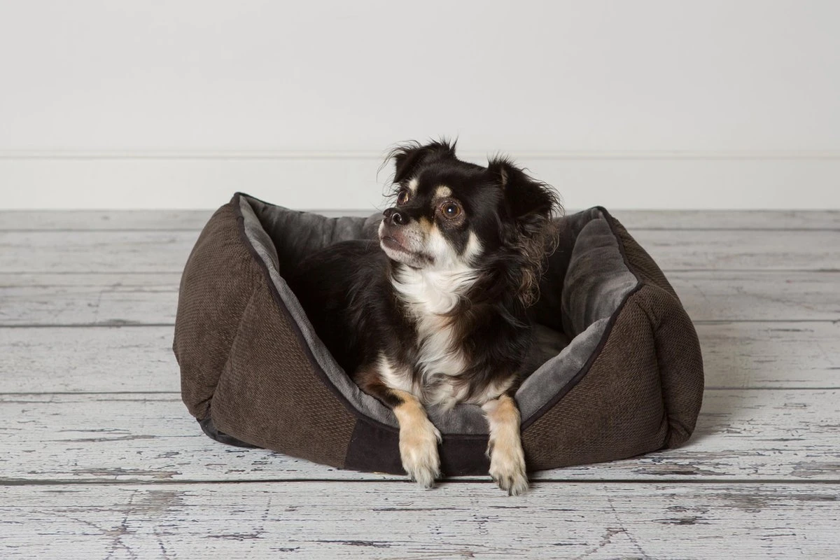 Hondenmand Zacht En Stevig, Anti-Slip En Wasbaar - Scruffs Chester Box Bed - In Grijs En Bruin In Maat S Tot XL - Kleur: Grijs, Maat: Extra Large 9 Hondenmand Zacht En Stevig, Anti-Slip En Wasbaar - Scruffs Chester Box Bed - In Grijs En Bruin In Maat S Tot XL - Kleur: Grijs, Maat: Extra Large - Image 7