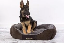 Hondenmand Zacht En Stevig, Anti-Slip En Wasbaar - Scruffs Chester Box Bed - In Grijs En Bruin In Maat S Tot XL - Kleur: Grijs, Maat: Extra Large 39 Hondenmand Zacht En Stevig, Anti-Slip En Wasbaar - Scruffs Chester Box Bed - In Grijs En Bruin In Maat S Tot XL - Kleur: Grijs, Maat: Extra Large -Huisdierbenodigdheden Korting 1200x800 187