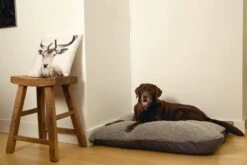 Beeztees Ruba - Orthopedisch Hondenkussen - Grijs - 100x70cm -Huisdierbenodigdheden Korting 1200x800 193