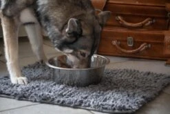 Royal Dry Absorberende Anti-knoeimat Voor Honden – Trekt Vuil Als Een Spons – Laat Geen Vocht Door – 61x45 Cm – Microfiber Chenille – Geschikt Voor Honden En Overige Huisdieren -Huisdierbenodigdheden Korting 1200x800 199