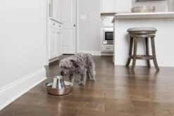 PetSafe® Seaside Stainless Steel Pet Fountain - RVS Drinkfontein Voor Katten En Kleine Honden - Water Borrelt Zacht Over De Toren - Door Het Design Van Alle Kanten Bereikbaar - 1,8 Liter - PetSafe Seaside -Huisdierbenodigdheden Korting 1200x800 217